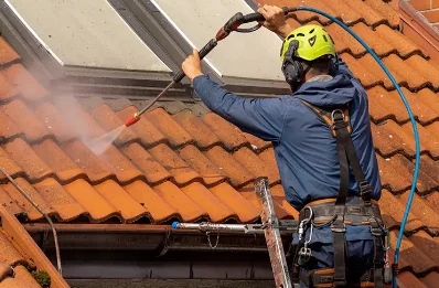 Démoussage et hydrofuge de toiture à Estavar
